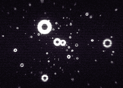 High-resolution image of a particle nebula showing bright rings and cosmic dust against a black space background.